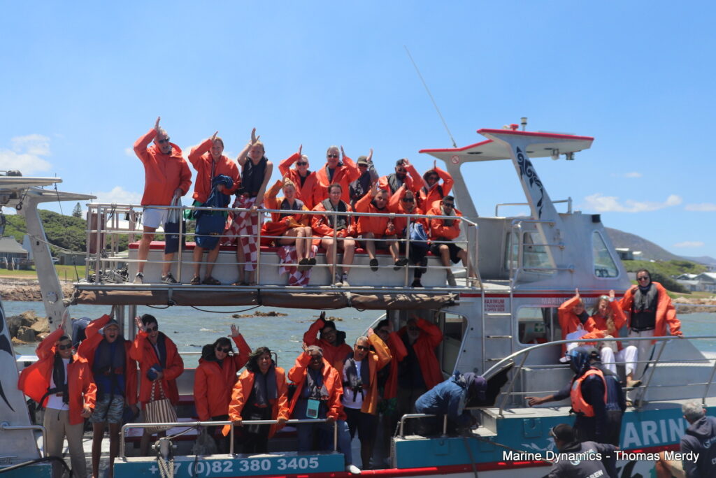 Shark cage diving, Gansbaai, South Africa