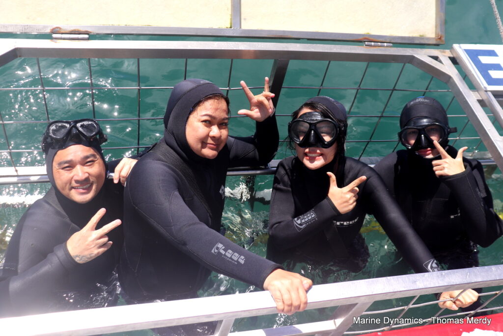Shark cage diving, South Africa, Gansbaai