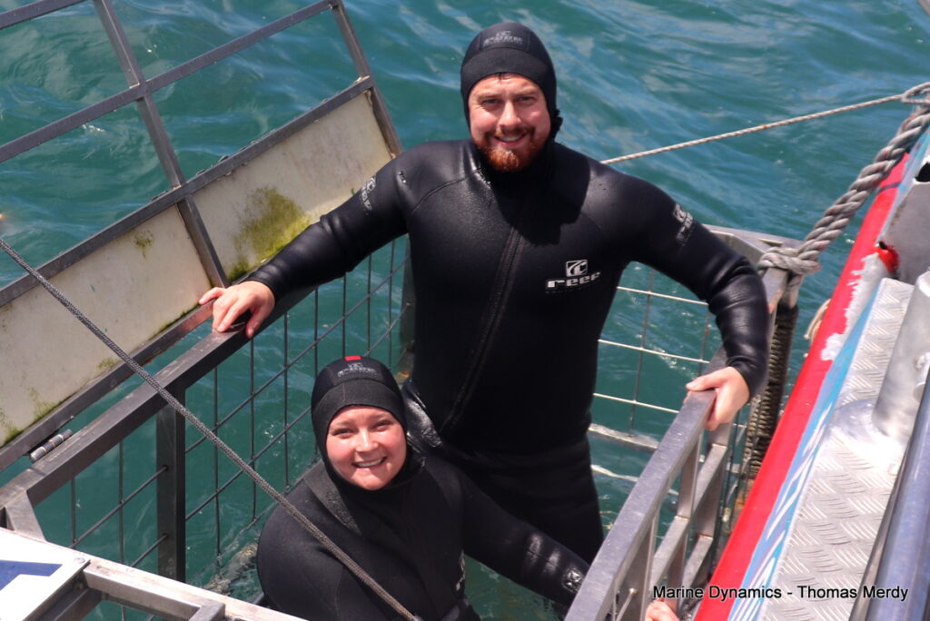 Shark cage diving, South Africa, Gansbaai