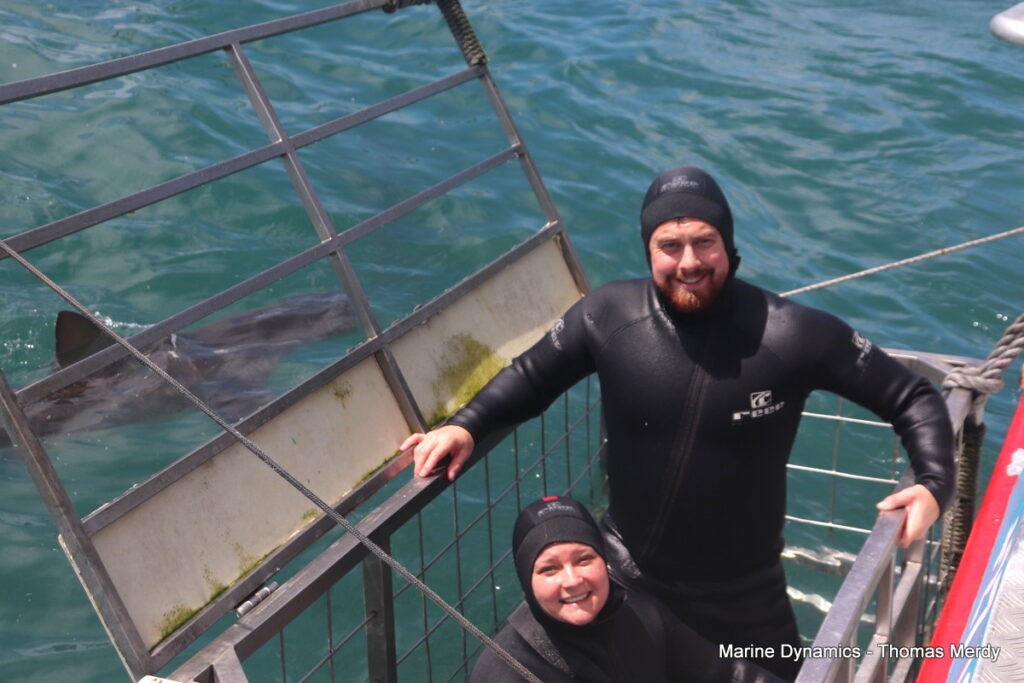 Shark cage diving, South Africa, Gansbaai