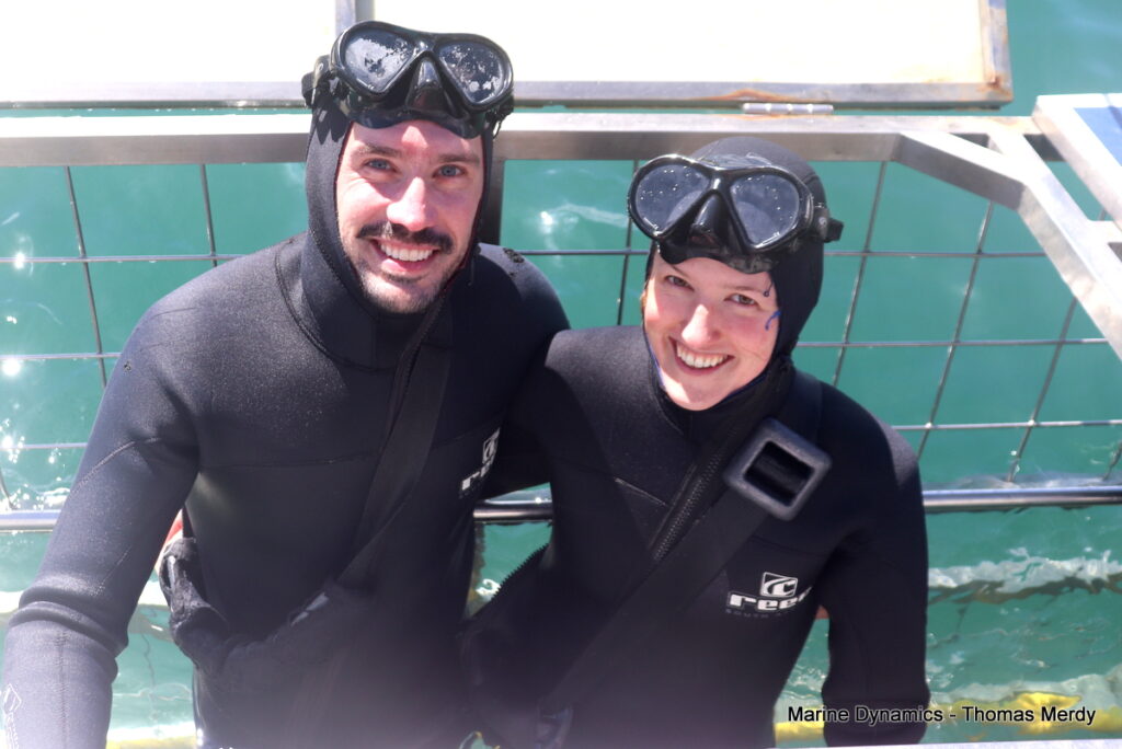 Shark cage diving, South Africa, Gansbaai