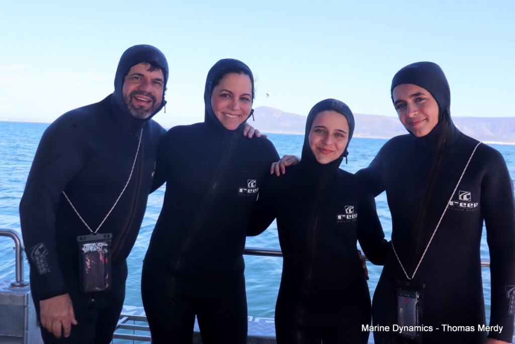 Shark cage diving, South Africa, Gansbaai