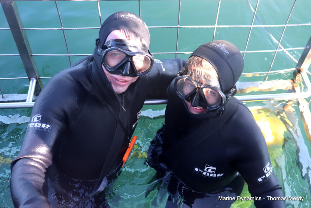Shark cage diving, South Africa, Gansbaai