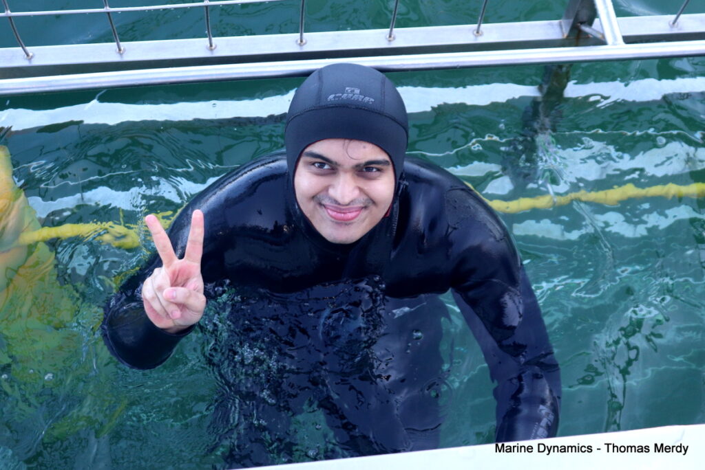 Shark cage diving, South Africa, Gansbaai
