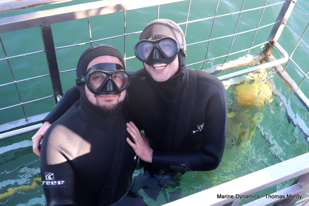 Shark cage diving, South Africa, Gansbaai
