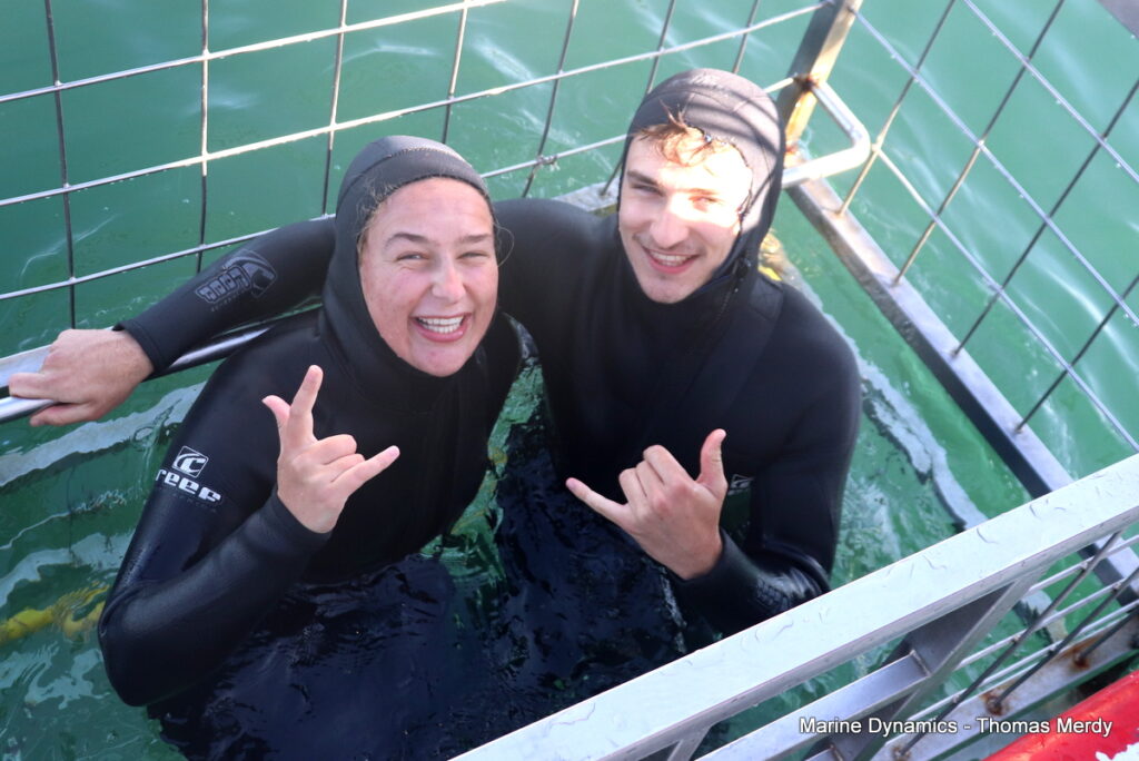 Shark cage diving, South Africa, Gansbaai