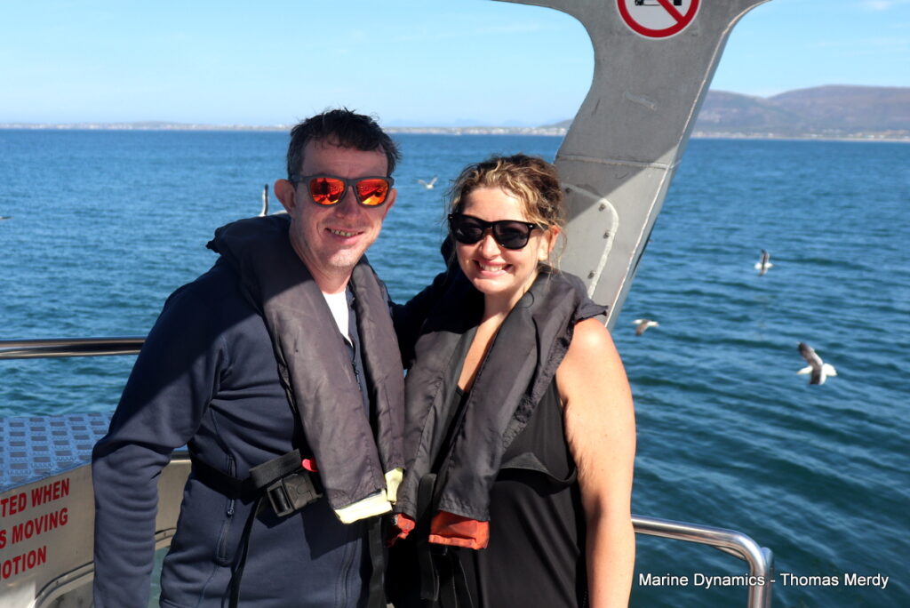 Shark cage diving, South Africa, Gansbaai