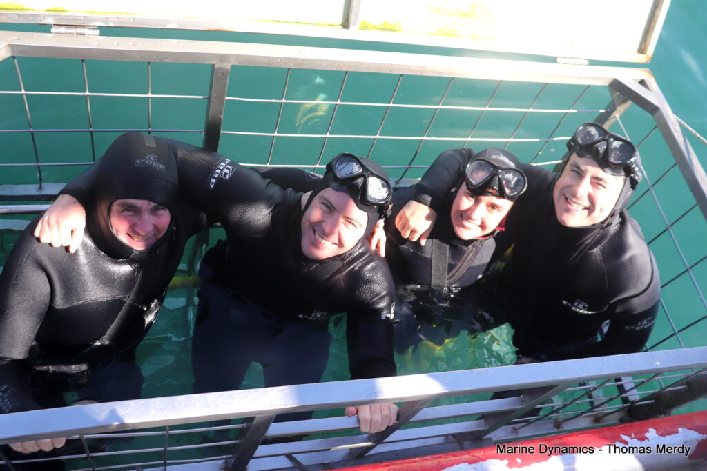 Shark cage diving, South Africa, Gansbaai