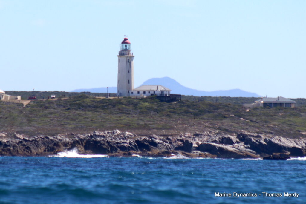 Shark cage diving, South Africa, Gansbaai