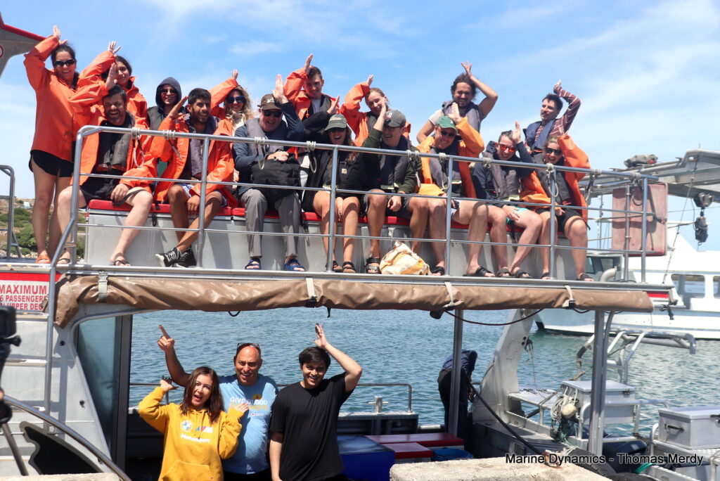 Shark cage diving, South Africa, Gansbaai
