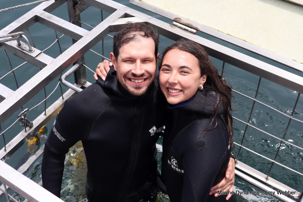Shark cage diving, Gansbaai, South Africa