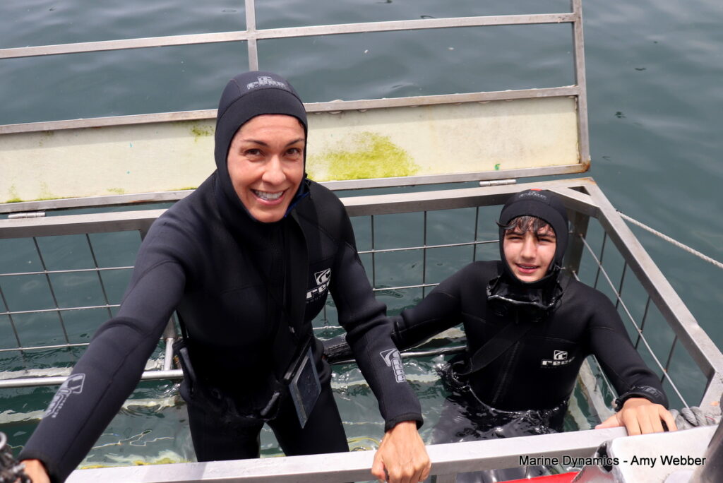 Shark cage diving, Gansbaai, South Africa