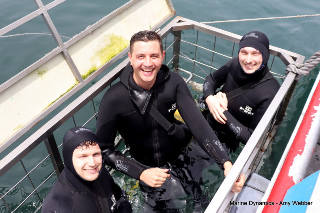 Shark cage diving, Gansbaai, South Africa