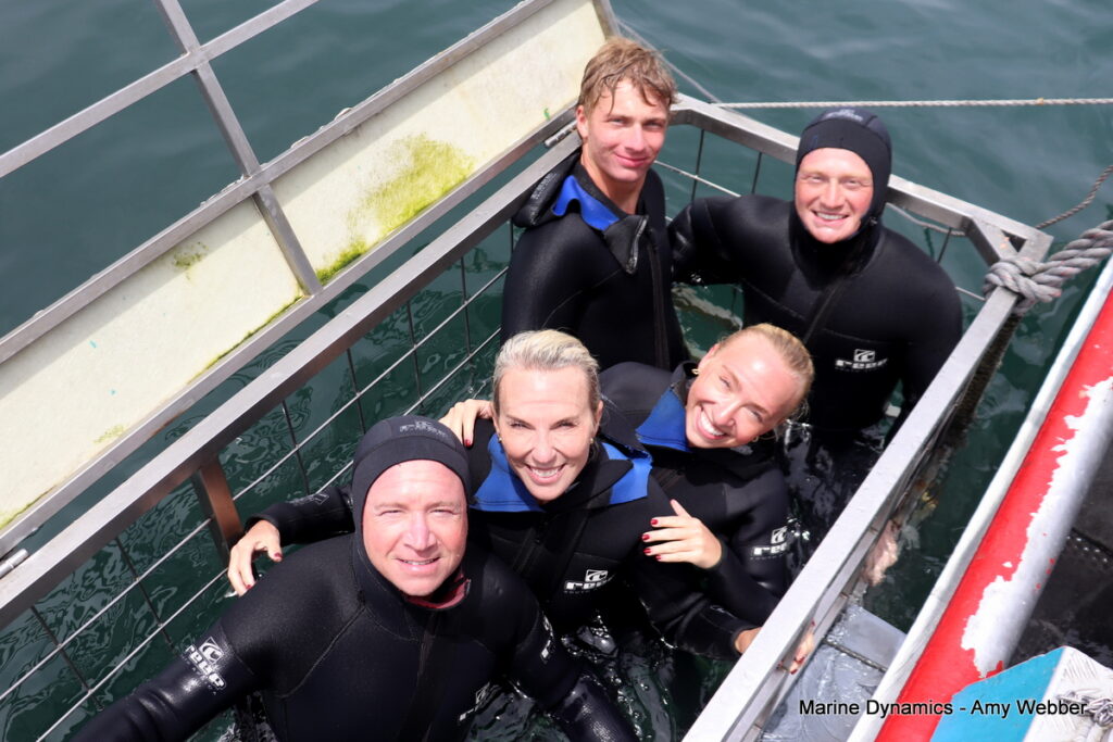 Shark cage diving, Gansbaai, South Africa
