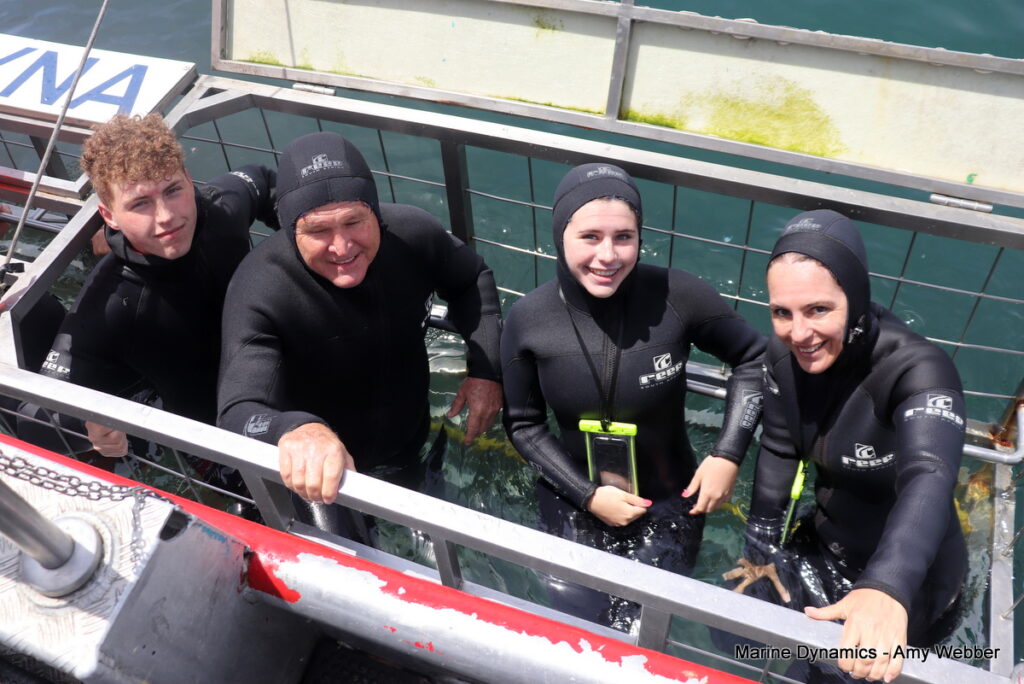 Shark cage diving, Gansbaai, South Africa