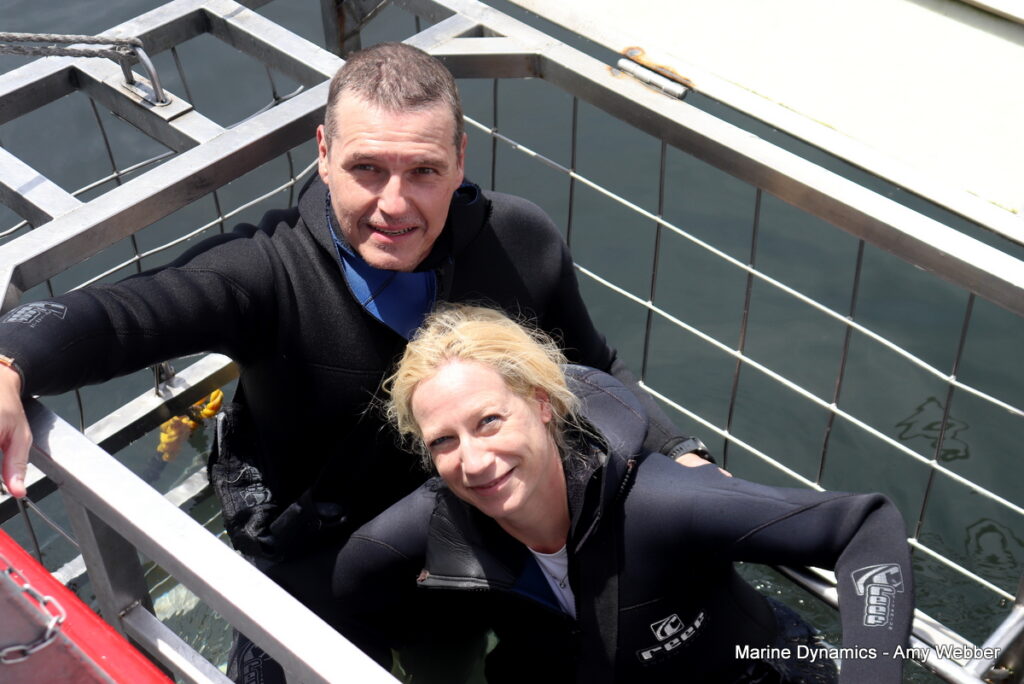 Shark cage diving, Gansbaai, South Africa
