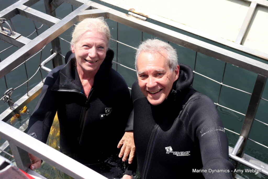 Shark cage diving, Gansbaai, South Africa