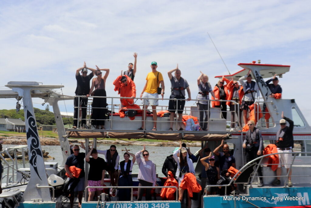 Shark cage diving, Gansbaai, South Africa