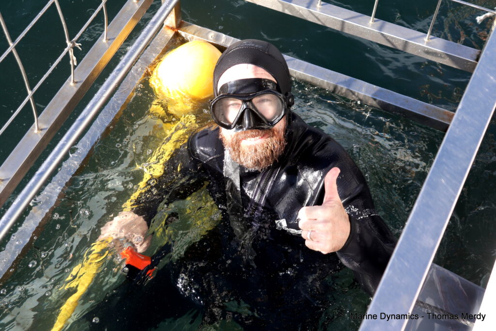 Shark cage diving, South Africa, Gansbaai