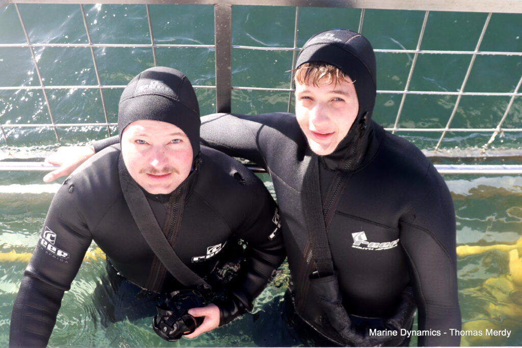 Shark cage diving, South Africa, Gansbaai