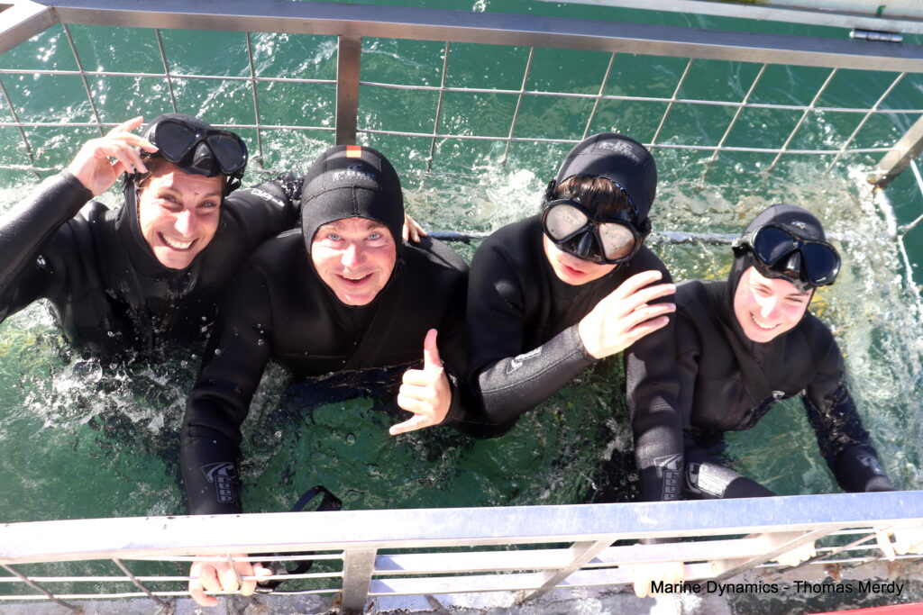 Shark cage diving, South Africa, Gansbaai