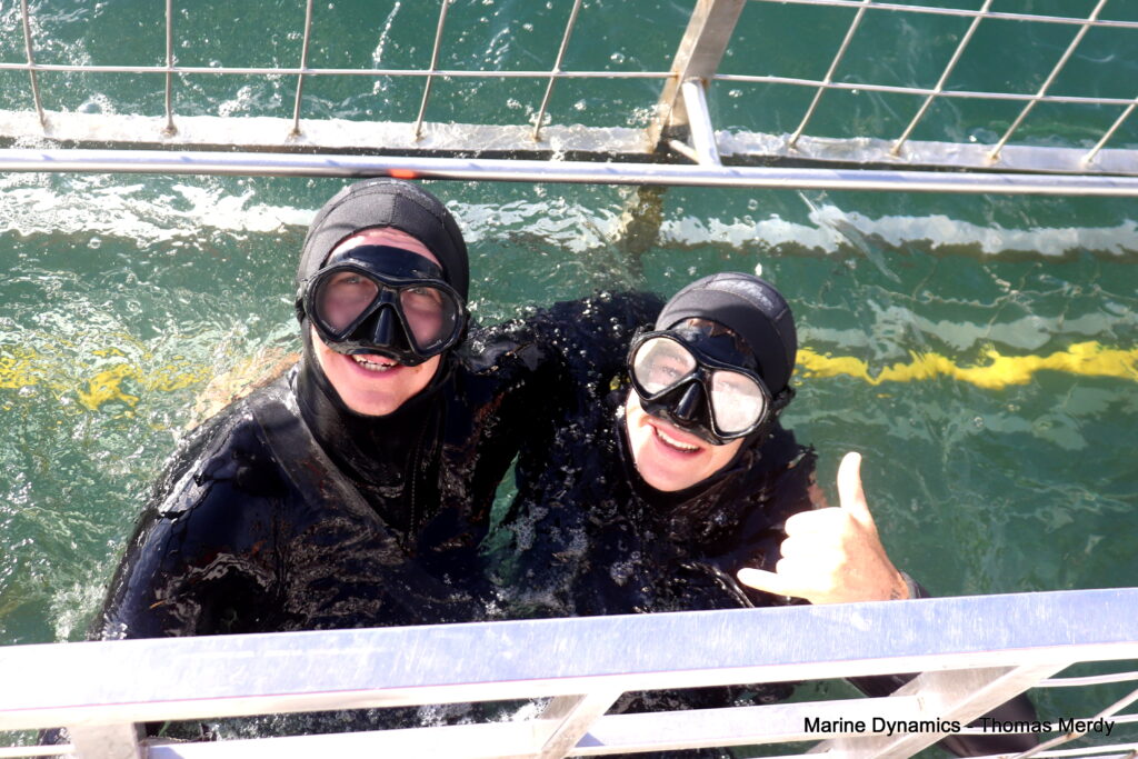 Shark cage diving, South Africa, Gansbaai
