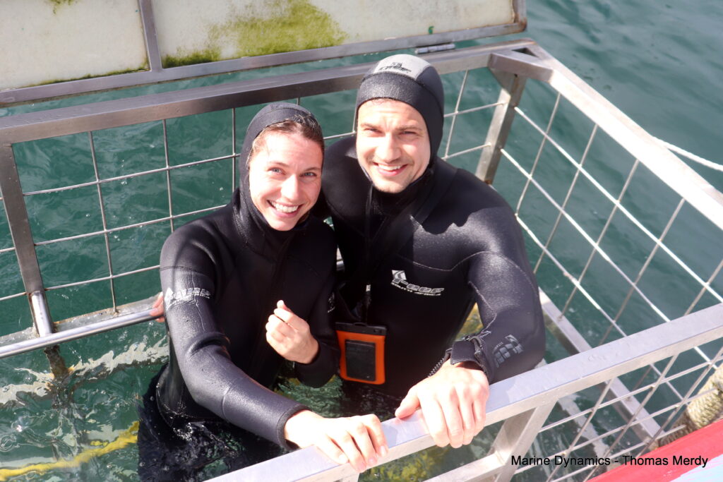 Shark cage diving, South Africa, Gansbaai