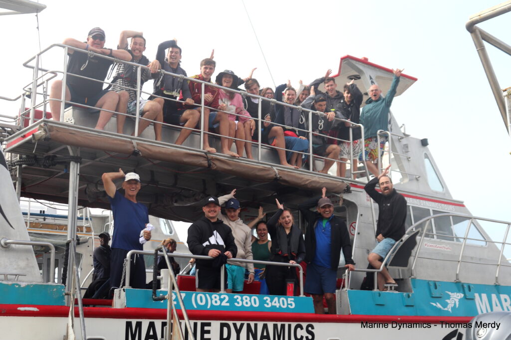 Shark cage diving, South Africa, Gansbaai
