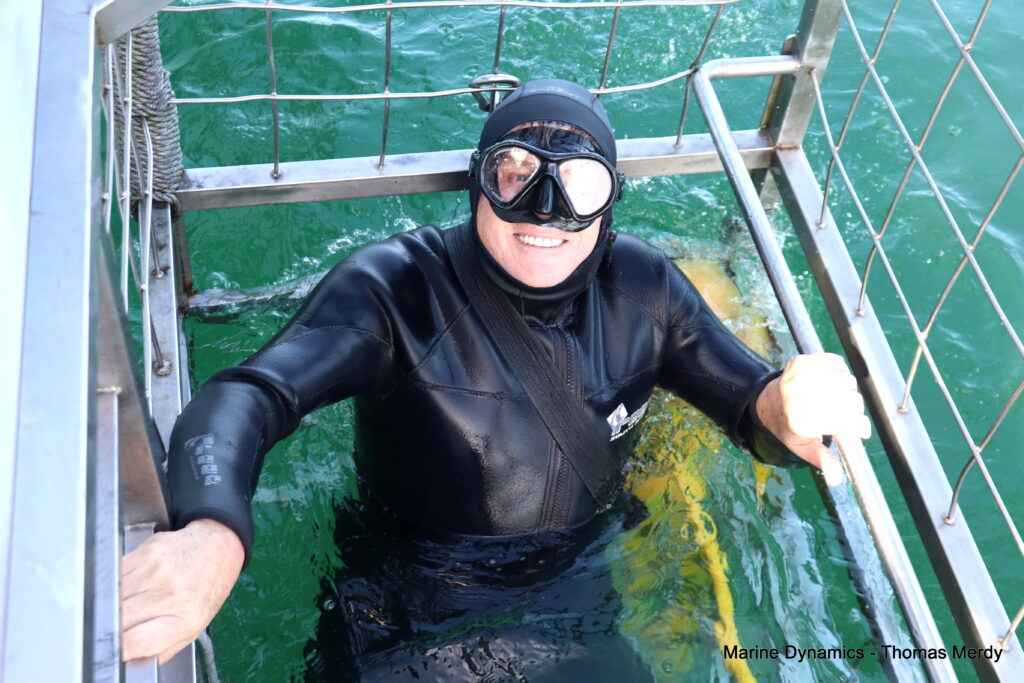 Shark cage diving, South Africa, Gansbaai