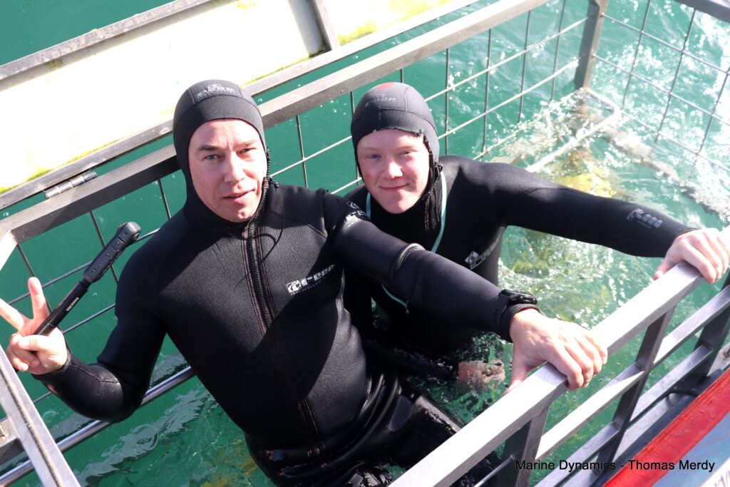 Shark cage diving, South Africa, Gansbaai