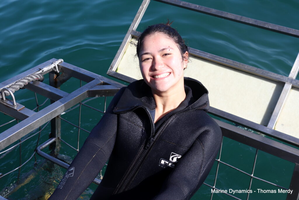 Shark cage diving, South Africa, Gansbaai