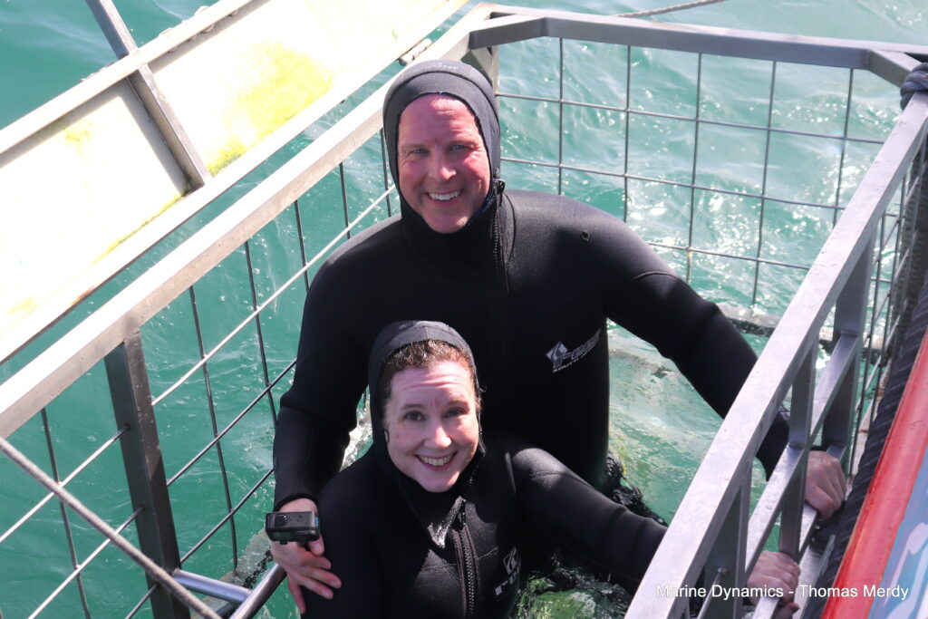 Shark cage diving, South Africa, Gansbaai