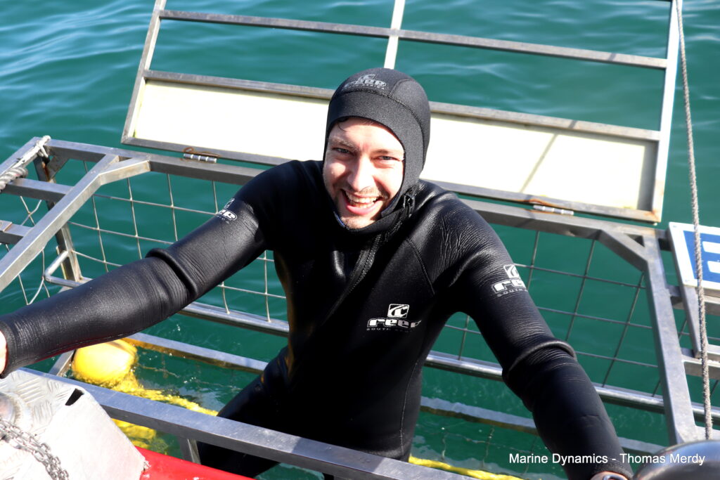 Shark cage diving, South Africa, Gansbaai