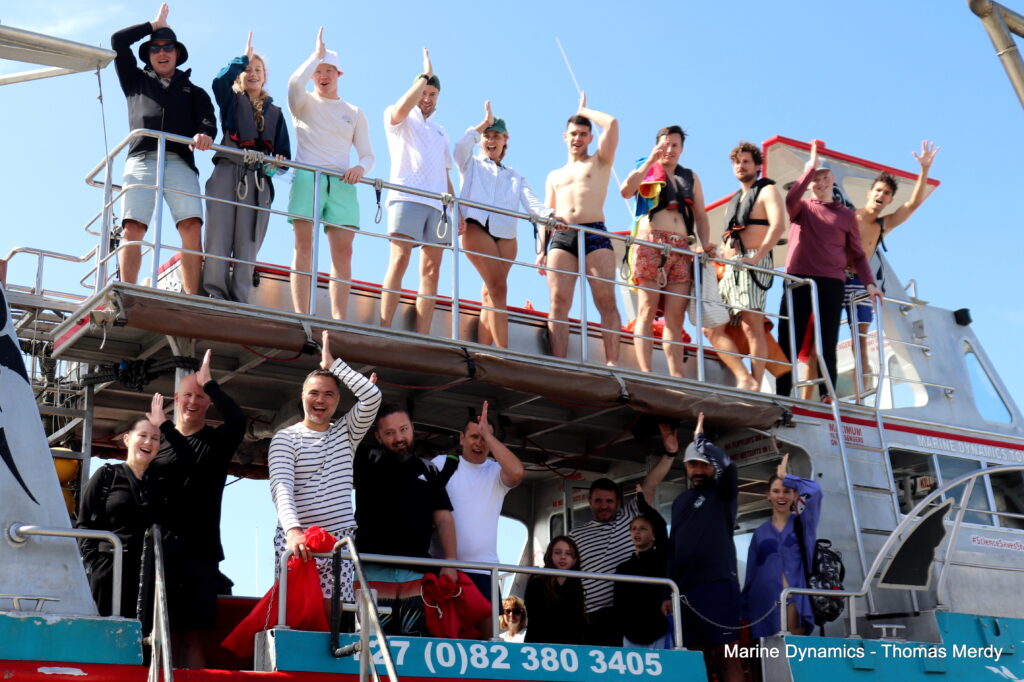 Shark cage diving, South Africa, Gansbaai