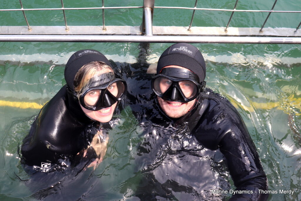 Shark cage diving, South Africa, Gansbaai