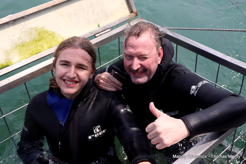 Shark cage diving, South Africa, Gansbaai