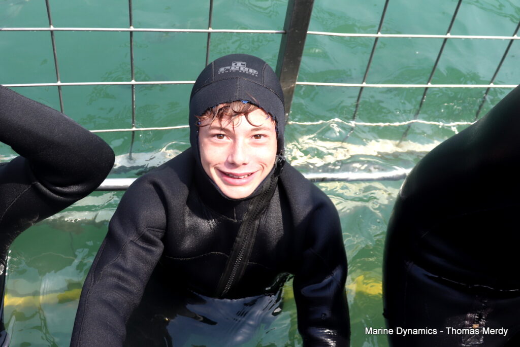 Shark cage diving, South Africa, Gansbaai