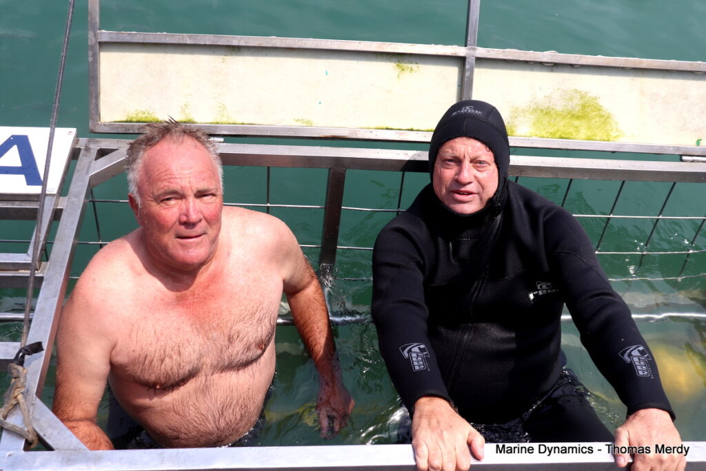 Shark cage diving, South Africa, Gansbaai