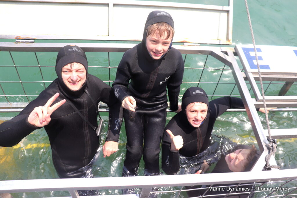 Shark cage diving, South Africa, Gansbaai