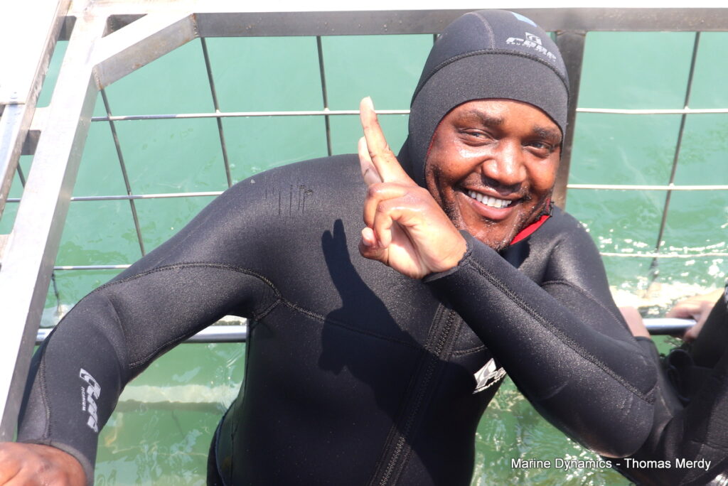 Shark cage diving, South Africa, Gansbaai