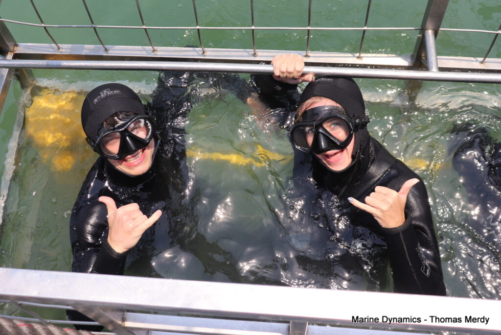 Shark cage diving, South Africa, Gansbaai