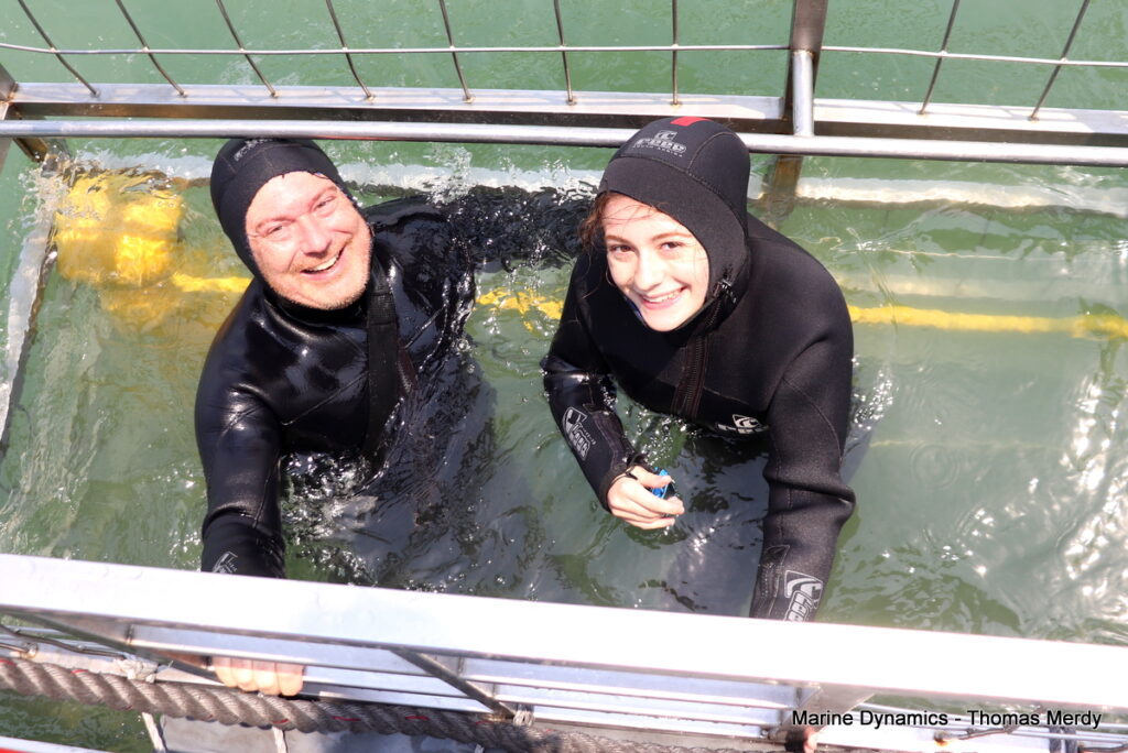 Shark cage diving, South Africa, Gansbaai