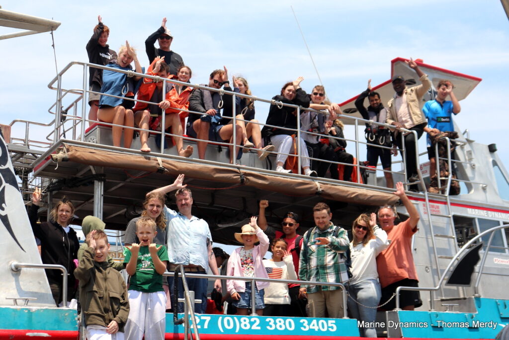 Shark cage diving, South Africa, Gansbaai