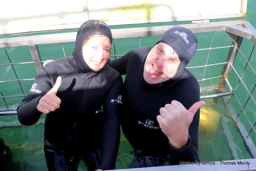 Shark cage diving, South Africa, Gansbaai