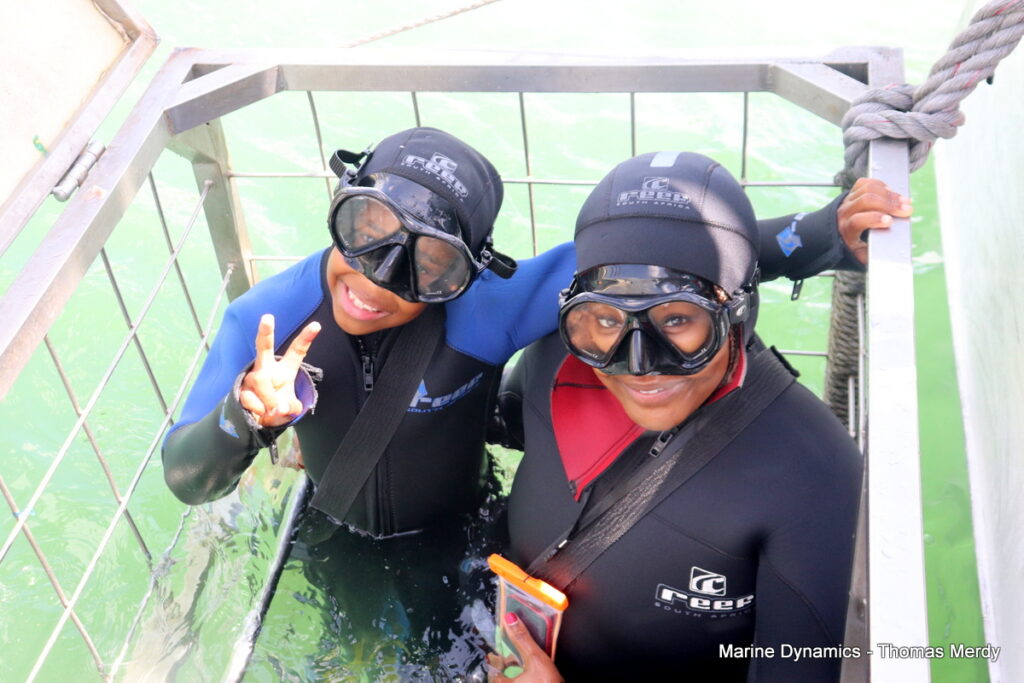 Shark cage diving, South Africa, Gansbaai