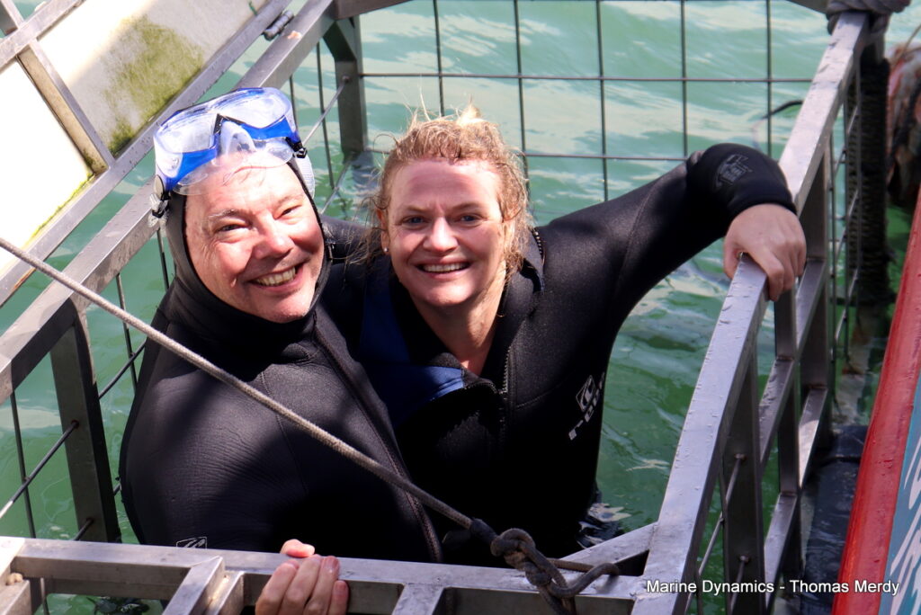 Shark cage diving, South Africa, Gansbaai