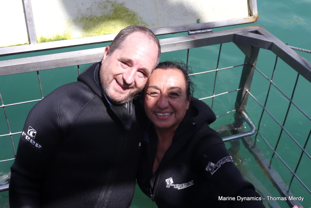 Shark cage diving, South Africa, Gansbaai