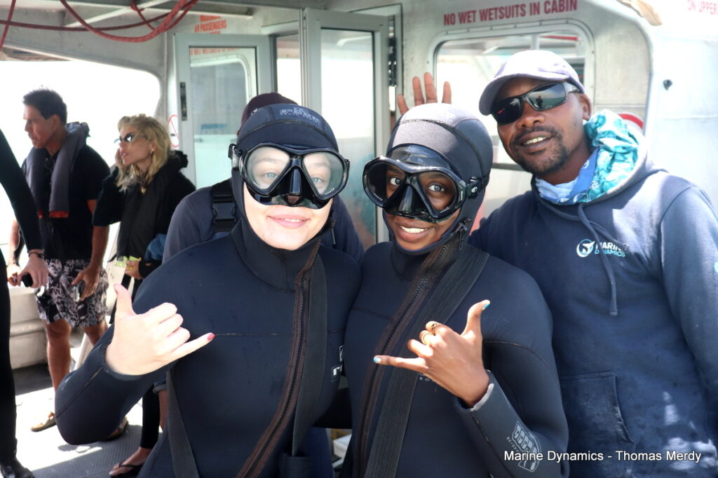 Shark cage diving, South Africa, Gansbaai