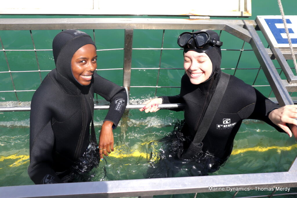 Shark cage diving, South Africa, Gansbaai