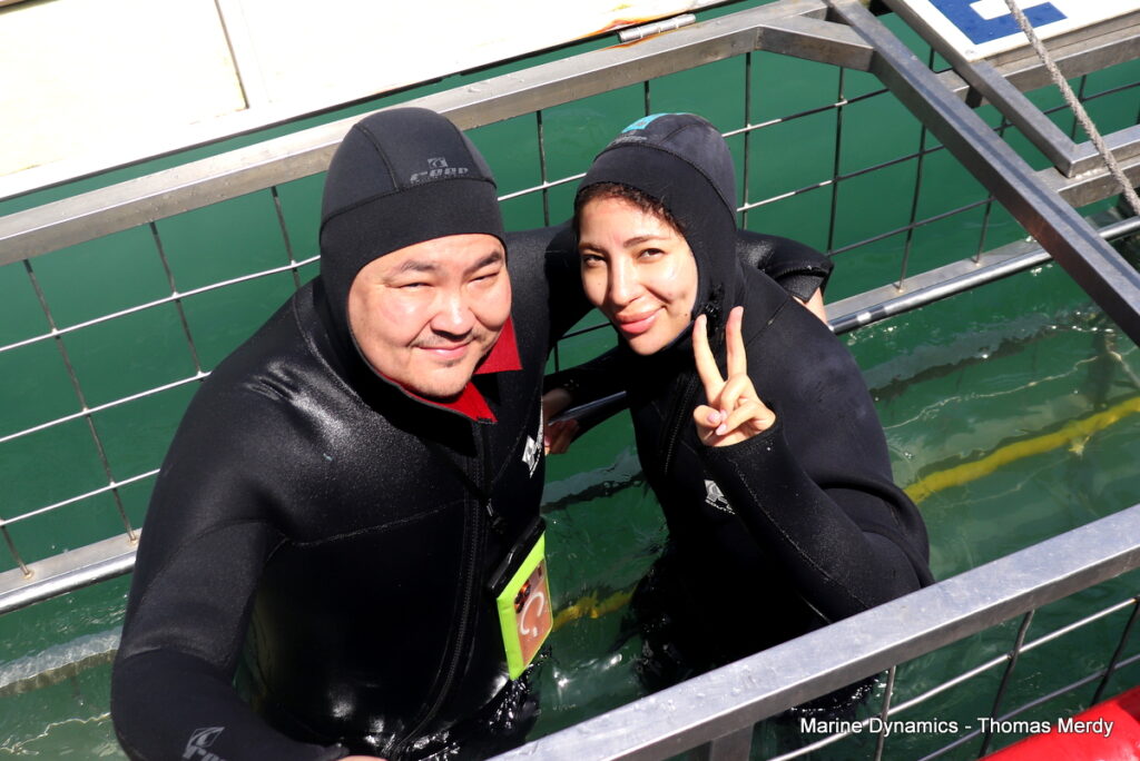 Shark cage diving, South Africa, Gansbaai
